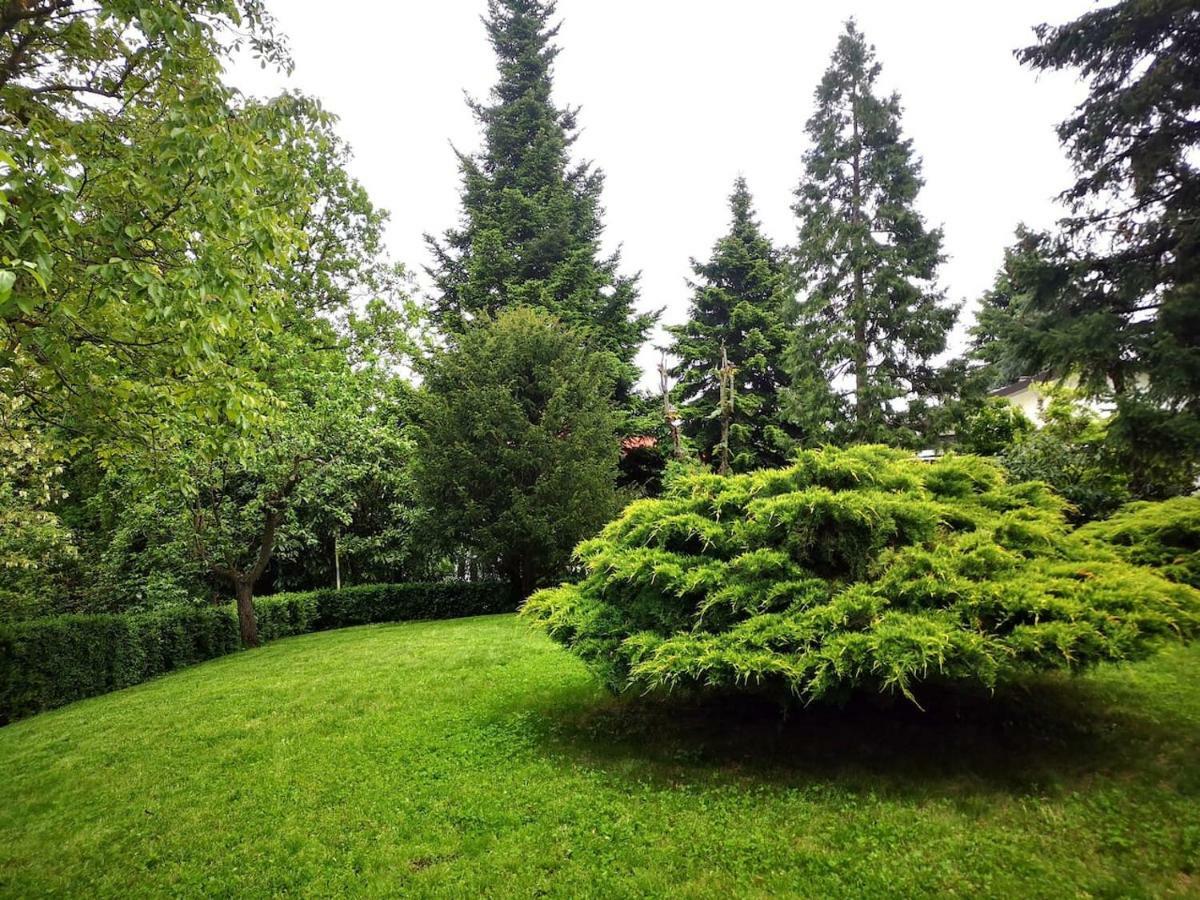 Casa Carla, Immersa Nel Verde Dei Colli Bolognesi Sasso Marconi Exterior foto